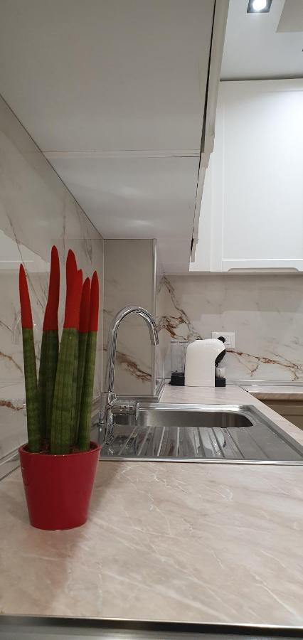 Luxury Drijon Apartments 3J Shkodër Dış mekan fotoğraf